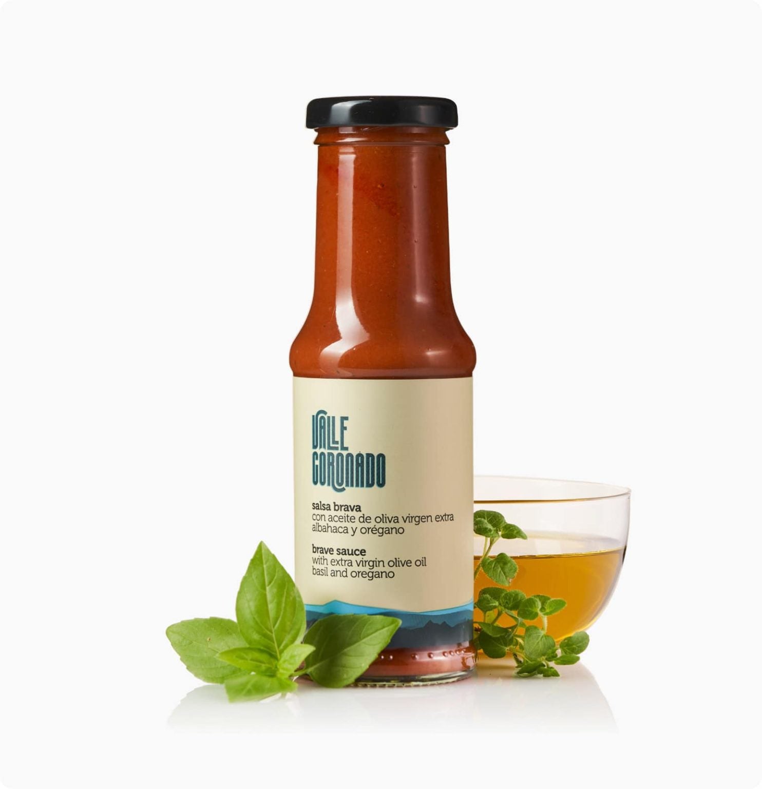 Salsa Brava Valle Coronado